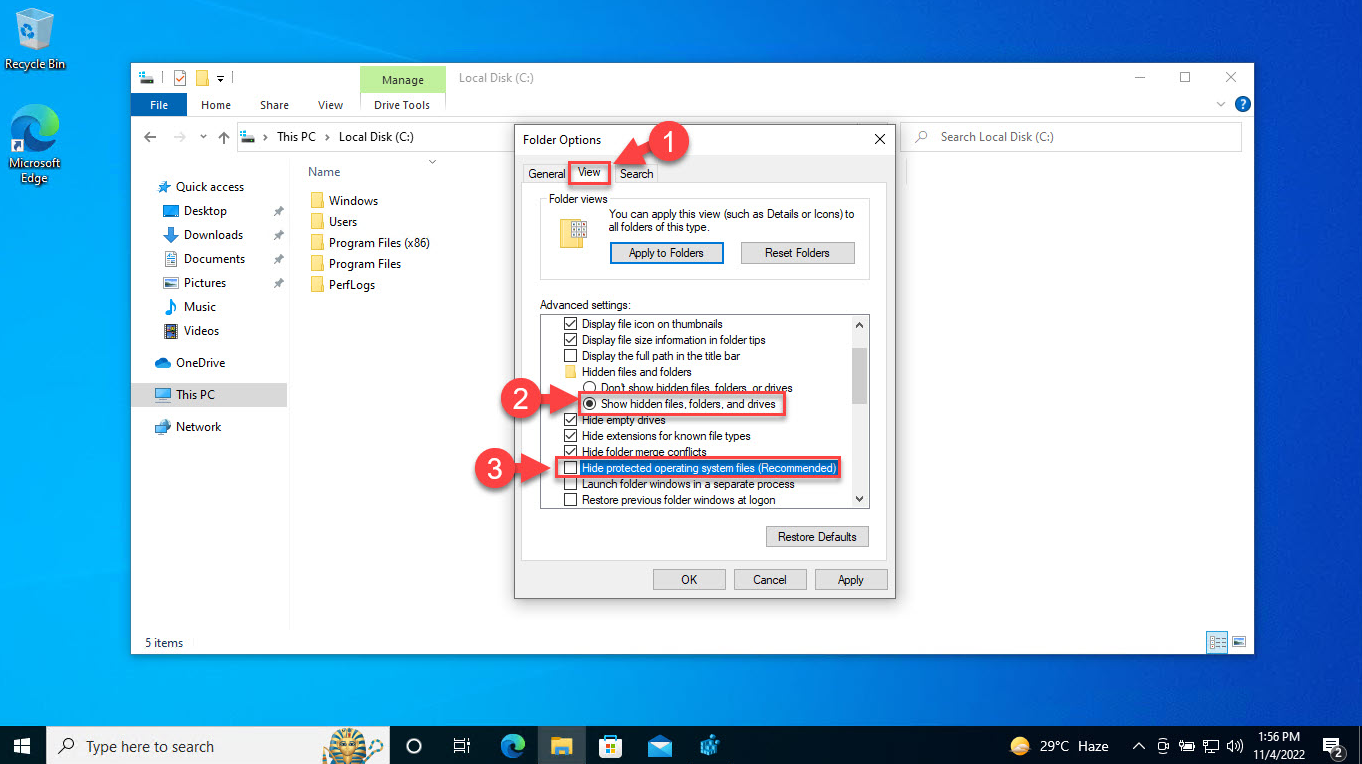 Mostrar arquivos e pastas ocultos e protegidos no Windows 11/10