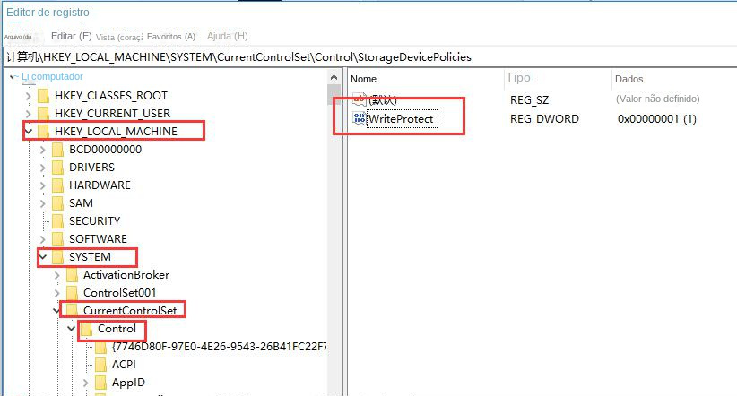 Encontre WriteProtect no registro
